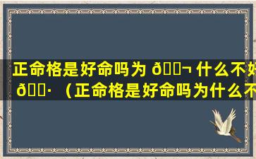 正命格是好命吗为 🐬 什么不好 🌷 （正命格是好命吗为什么不好婚姻）